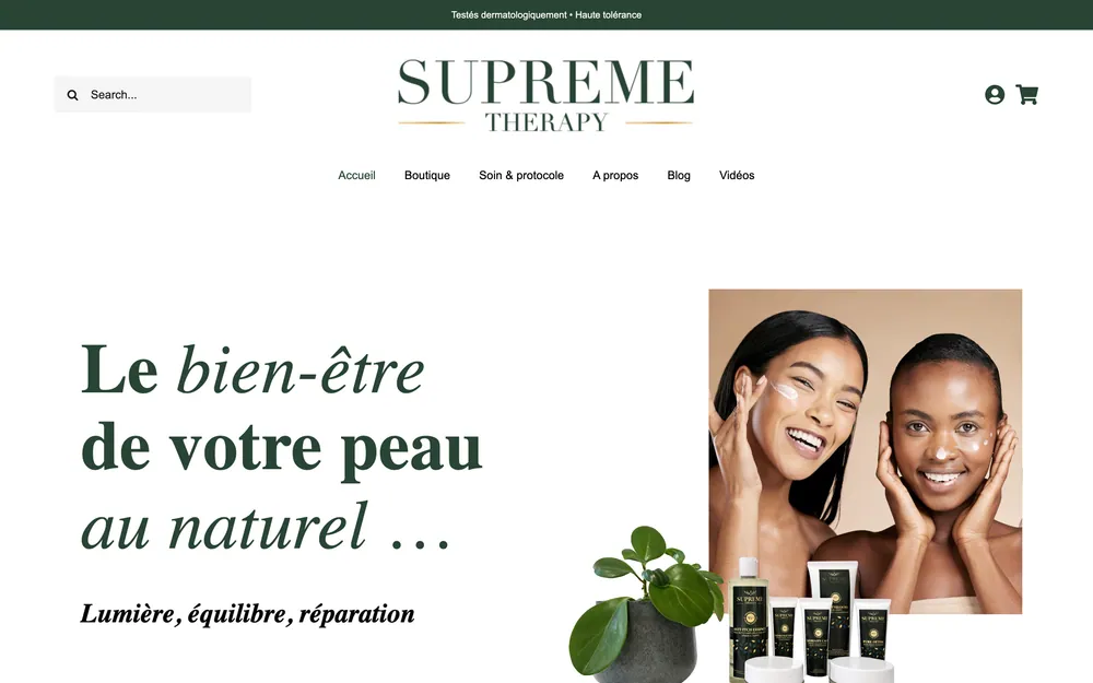 Supreme Therapy — aperçu du site web réalisé par SwiftFlow